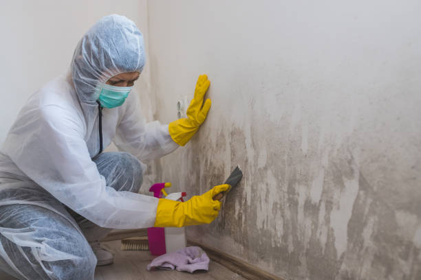 Best Commercial Mold Inspection  in Silverton, OR