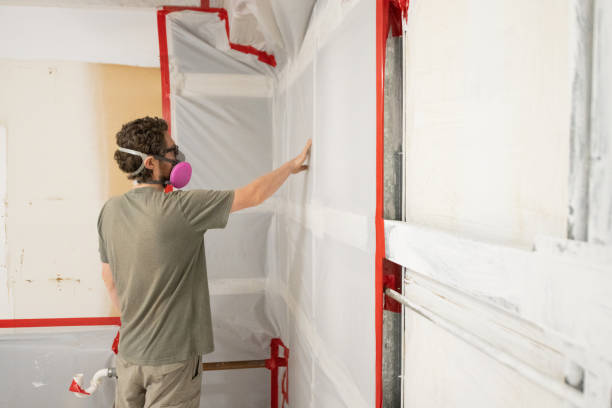 Best Mold Remediation for Healthcare Facilities  in Silverton, OR