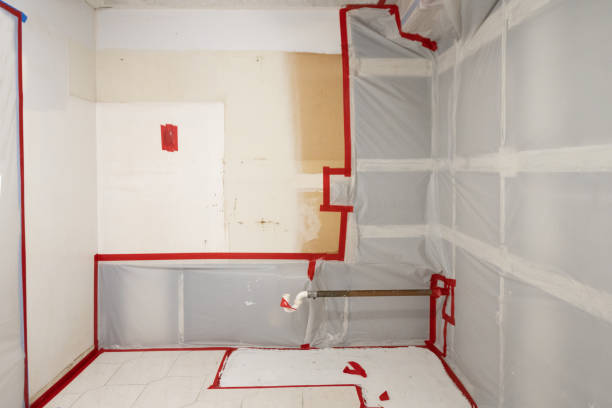 Best Forensic Mold Investigation  in Silverton, OR