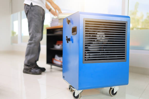 Best Mold Damage Restoration  in Silverton, OR