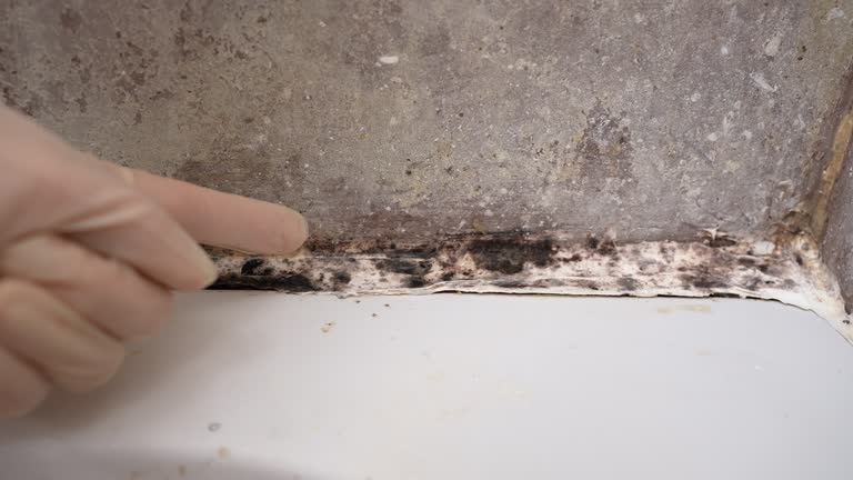 Best HVAC Mold Inspection and Cleaning  in Silverton, OR